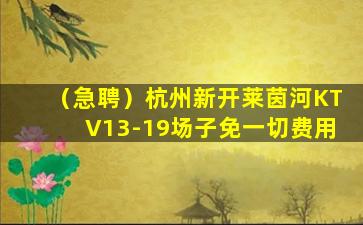 湛江夜总会招聘